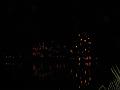 ZooLights 15